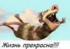 Аватар користувача
